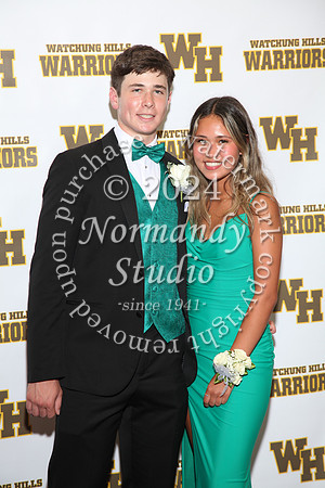 WTG_sr_prom_069
