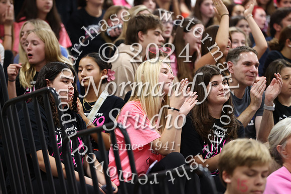 WHS_vb-pink out_72