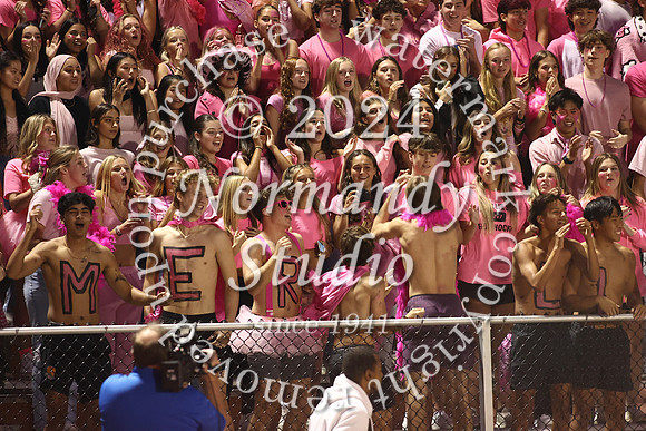 SVL_fans_34