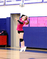 WHS_vb-pink out_07