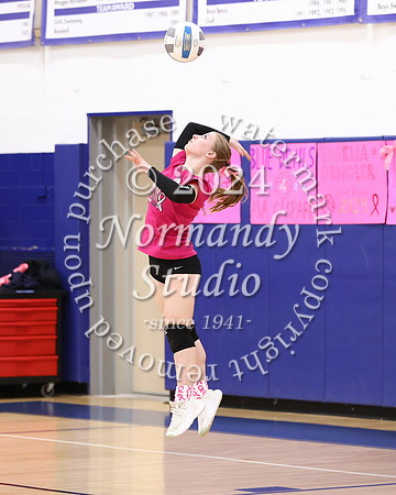 WHS_vb-pink out_07