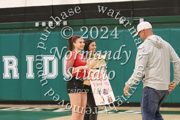 RDG_gy-sr-night_12