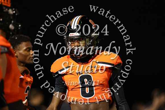 SVL_fb_42