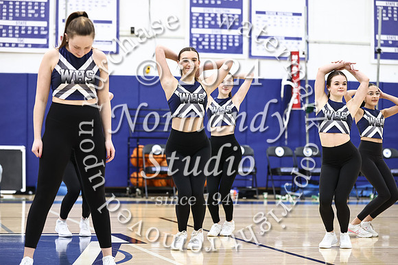 WHS_dt_014