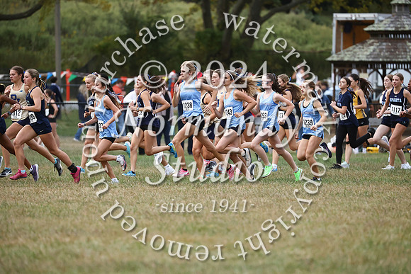 WMC_cc-g_33