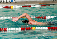 WMC_006_sw-b