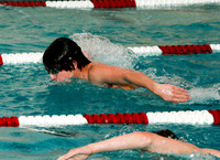 WMC_009_sw-b