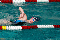 WMC_006_sw-g