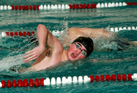 WMC_012_sw-b