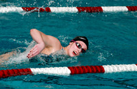 WMC_007_sw-g