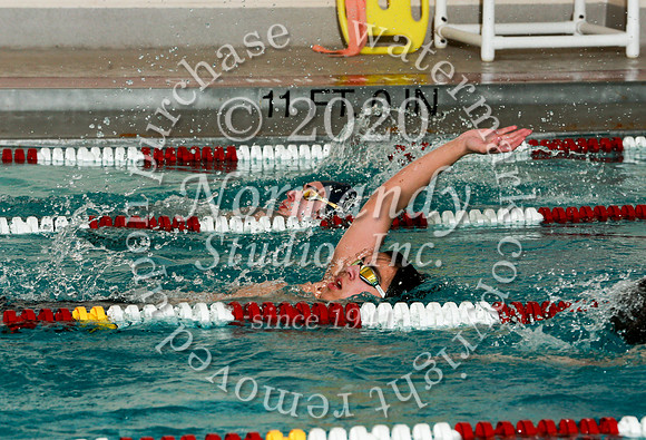 WMC_013_sw-b