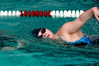 WMC_009_sw-g