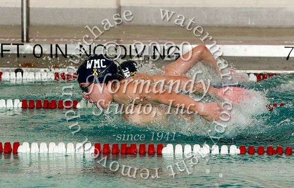WMC_018_sw-b
