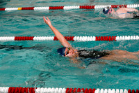 WMC_013_sw-g