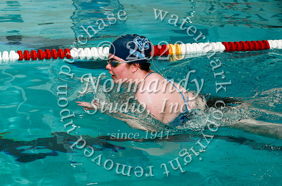 WMC_036_sw-g