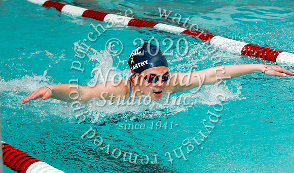WMC_045_sw-g
