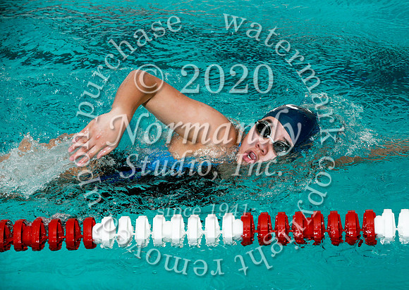 WMC_051_sw-g