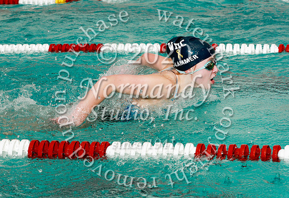 WMC_061_sw-g