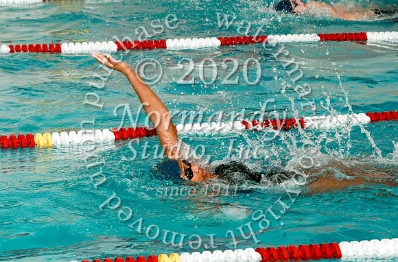 WMC_062_sw-g