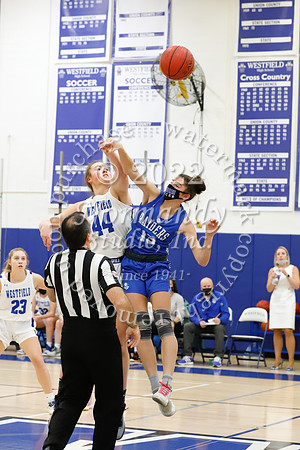 WHS_13_bb-g