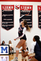 MSM_vb-g_16