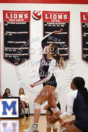 MSM_vb-g_16