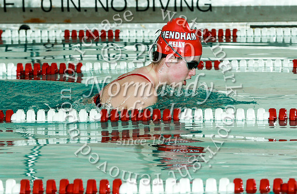 WMM_009_sw-g