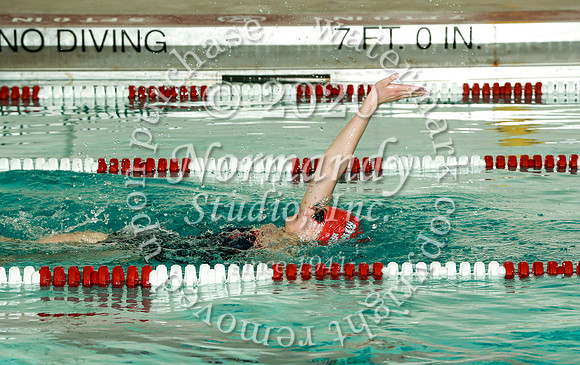 WMM_037_sw-g