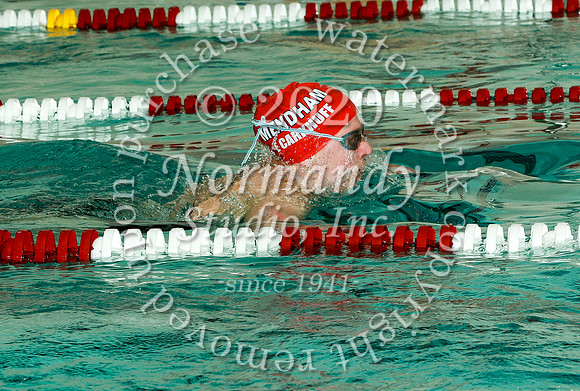WMM_042_sw-g