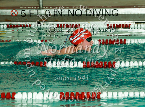 WMM_047_sw-g