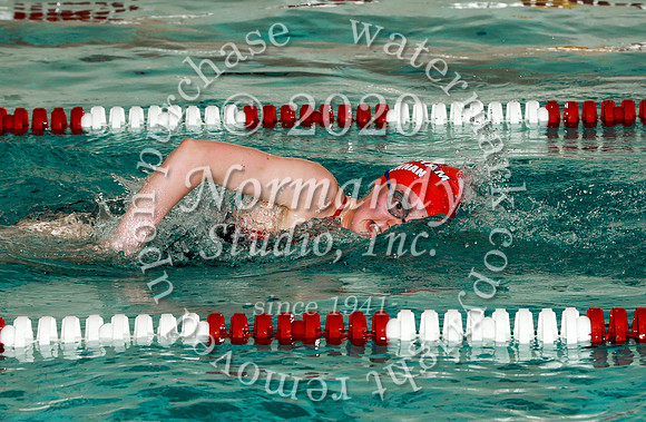 WMM_055_sw-g