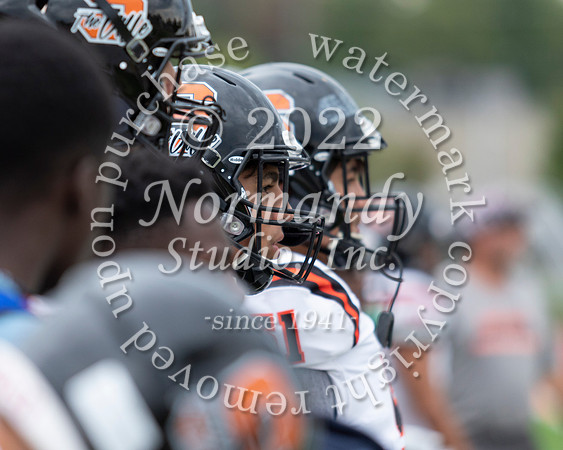 SVL_fb-j_29