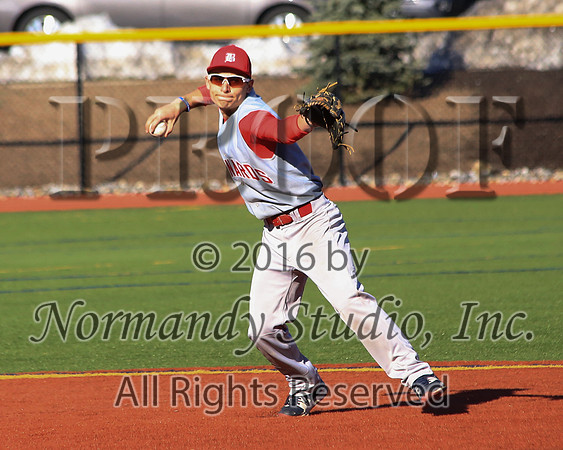 BER_38_bb