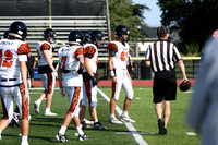 SVL_fb-f_01