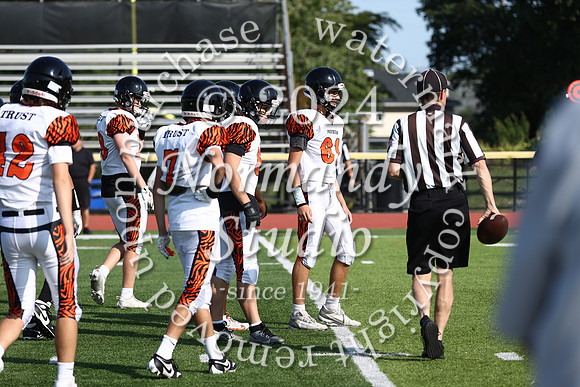 SVL_fb-f_01