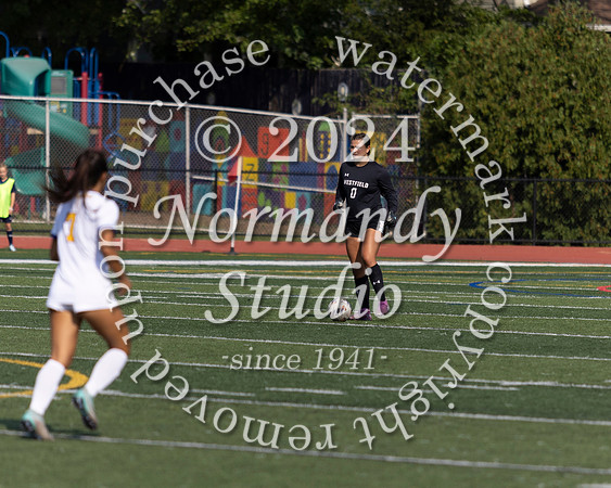 WHS_so-g_22