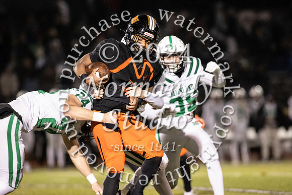 SVL_fb_15