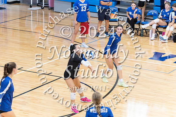 WHS_vb-g_17
