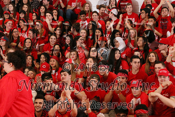 MNP_007_botc