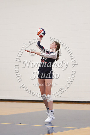 MSM_vb-g_41