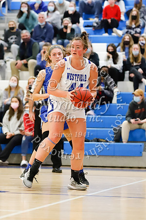 WHS_66_bb-g