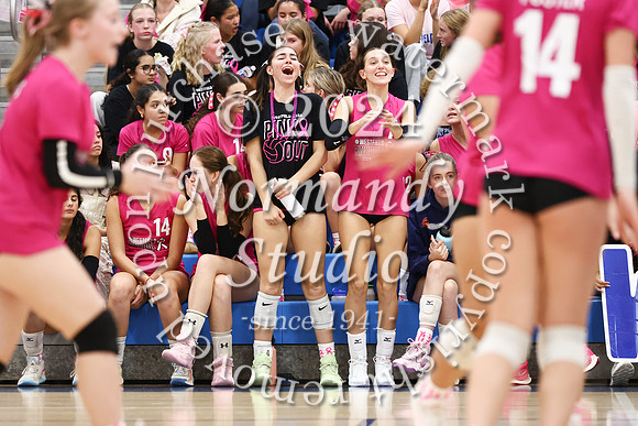 WHS_vb-pink out_38