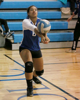 UCH_14_vb-g-j