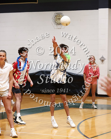 CNH_sr vb_35