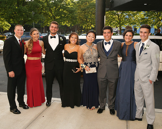 SVL_031_prc