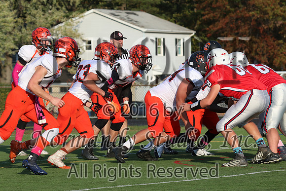SVL_fb-j_044