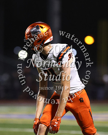 SVL_fb_36