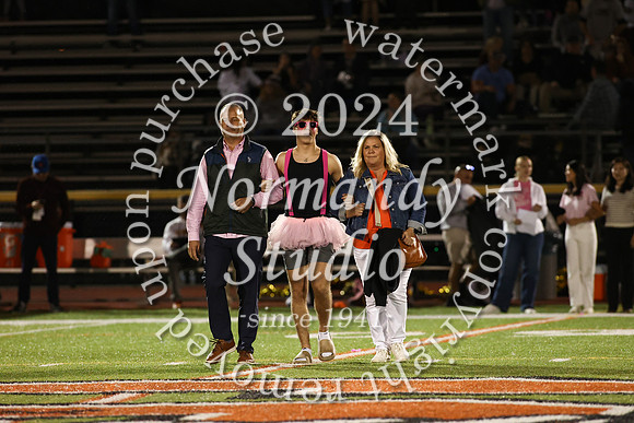 SVL_hc court_50