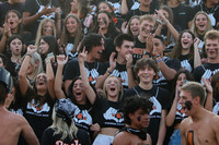 SVL_fans_05
