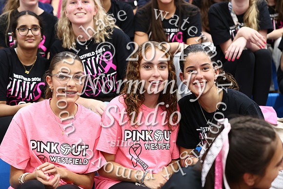 WHS_vb-pink out_20